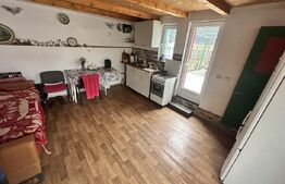 Apartament de locuit + atelier auto + terasa și curte generoasă 