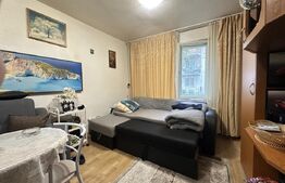 Deva, Progresul – garsonieră eficientă, liniște + poziție excelentă