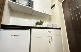 Deva, Progresul – garsonieră eficientă, liniște + poziție excelentă