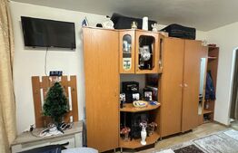 Deva, Progresul – garsonieră eficientă, liniște + poziție excelentă