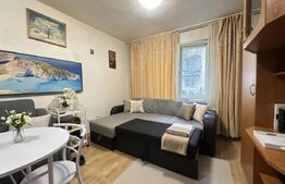 Deva, Progresul – garsonieră eficientă, liniște + poziție excelentă