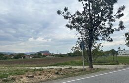 📍 Teren intravilan 6.109 mp – zonă centrală Simeria, ideal pentru dezvoltare re