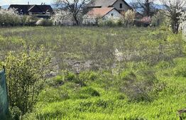 📍 Teren intravilan 6.109 mp – zonă centrală Simeria, ideal pentru dezvoltare re