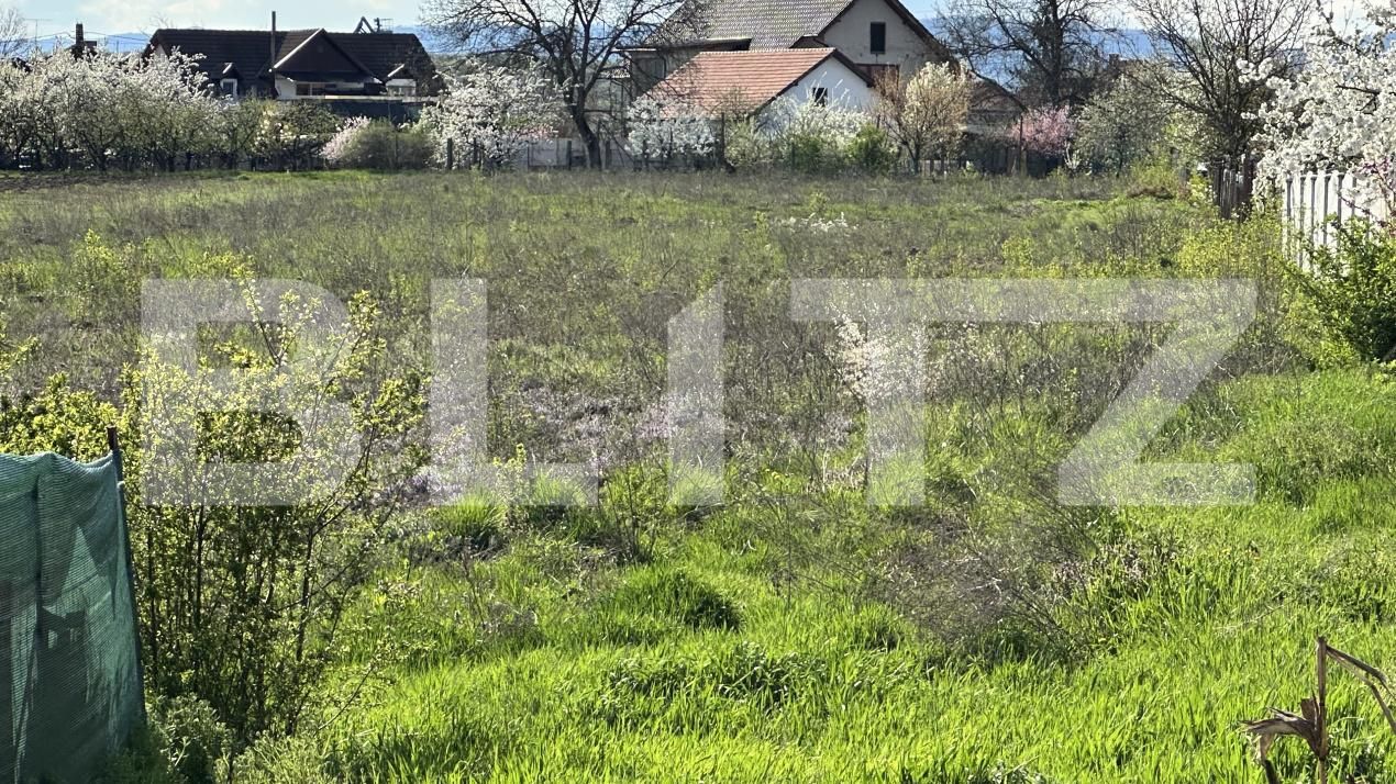 Teren de vânzare Simeria - 192259TV | BLITZ Deva | Poza3