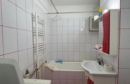 Apartament 2 camere, decomandat, priveliște superbă, zona Garii