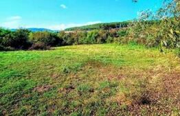 Teren INTRAVILAN cu posibilitate de parcelare ZONA DEOSEBITĂ 