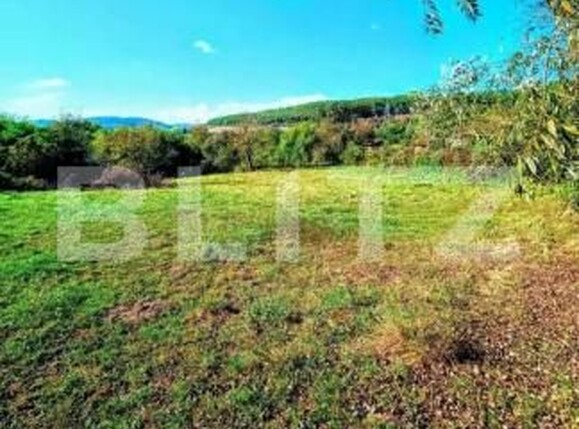 Teren de vânzare Soimus - 192379TV | BLITZ Deva | Poza1