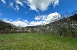 Teren 1 ha lângă casă, acces asfalt, zonă liniștită, Boiu