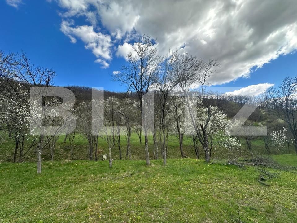 Teren de vânzare Boiu - 192451TV | BLITZ Deva | Poza2