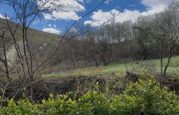 Teren 5.500 mp, liniște totală, acces asfalt, priveliște deschisă, Boiu