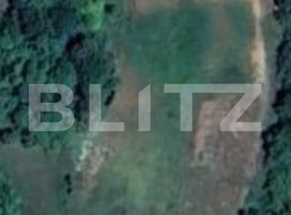 Teren de vânzare Boiu - 192459TV | BLITZ Deva | Poza2