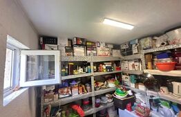 Casă cu 1.2 ha teren, liniște totală, livadă, acces asfaltat