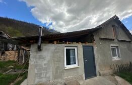 Casă cu 1.2 ha teren, liniște totală, livadă, acces asfaltat