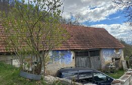 Casă cu 1.2 ha teren, liniște totală, livadă, acces asfaltat