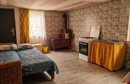 Casă cu 1.2 ha teren, liniște totală, livadă, acces asfaltat