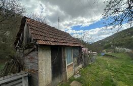 Casă cu 1.2 ha teren, liniște totală, livadă, acces asfaltat