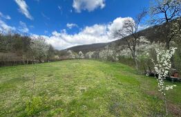 Casă cu 1.2 ha teren, liniște totală, livadă, acces asfaltat