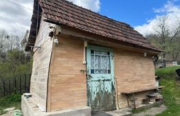 Casă cu 1.2 ha teren, liniște totală, livadă, acces asfaltat