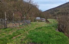 Casă cu 1.2 ha teren, liniște totală, livadă, acces asfaltat