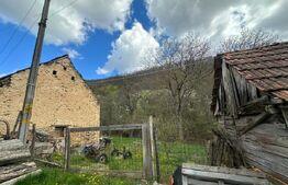 Casă cu 1.2 ha teren, liniște totală, livadă, acces asfaltat