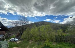 Casă cu 1.2 ha teren, liniște totală, livadă, acces asfaltat