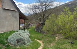 Casă cu 1.2 ha teren, liniște totală, livadă, acces asfaltat