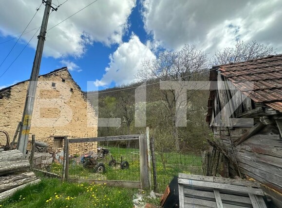 Casa de vânzare 4 camere Boiu - 192460CV | BLITZ Deva | Poza9