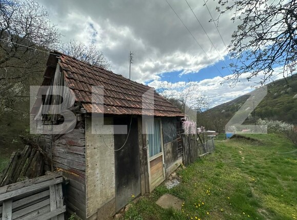 Casa de vânzare 4 camere Boiu - 192460CV | BLITZ Deva | Poza14