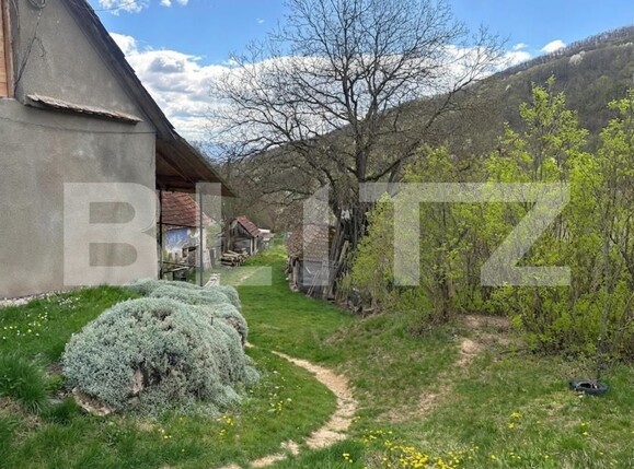 Casa de vânzare 4 camere Boiu - 192460CV | BLITZ Deva | Poza8
