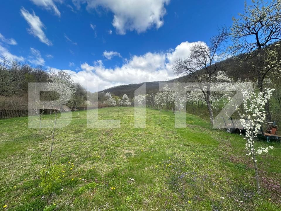 Casa de vânzare 4 camere Boiu - 192460CV | BLITZ Deva | Poza2