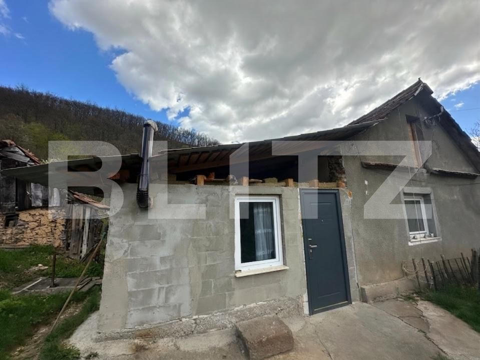 Casa de vânzare 4 camere Boiu - 192460CV | BLITZ Deva | Poza3