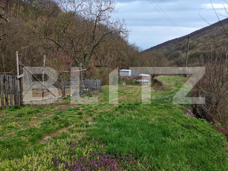 Casa de vânzare 4 camere Boiu - 192460CV | BLITZ Deva | Poza16