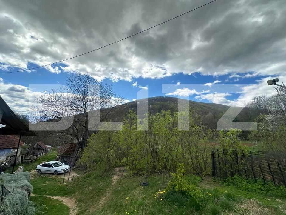 Casa de vânzare 4 camere Boiu - 192460CV | BLITZ Deva | Poza10