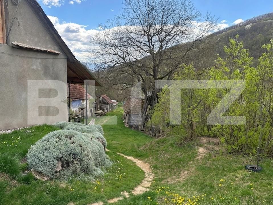 Casa de vânzare 4 camere Boiu - 192460CV | BLITZ Deva | Poza8