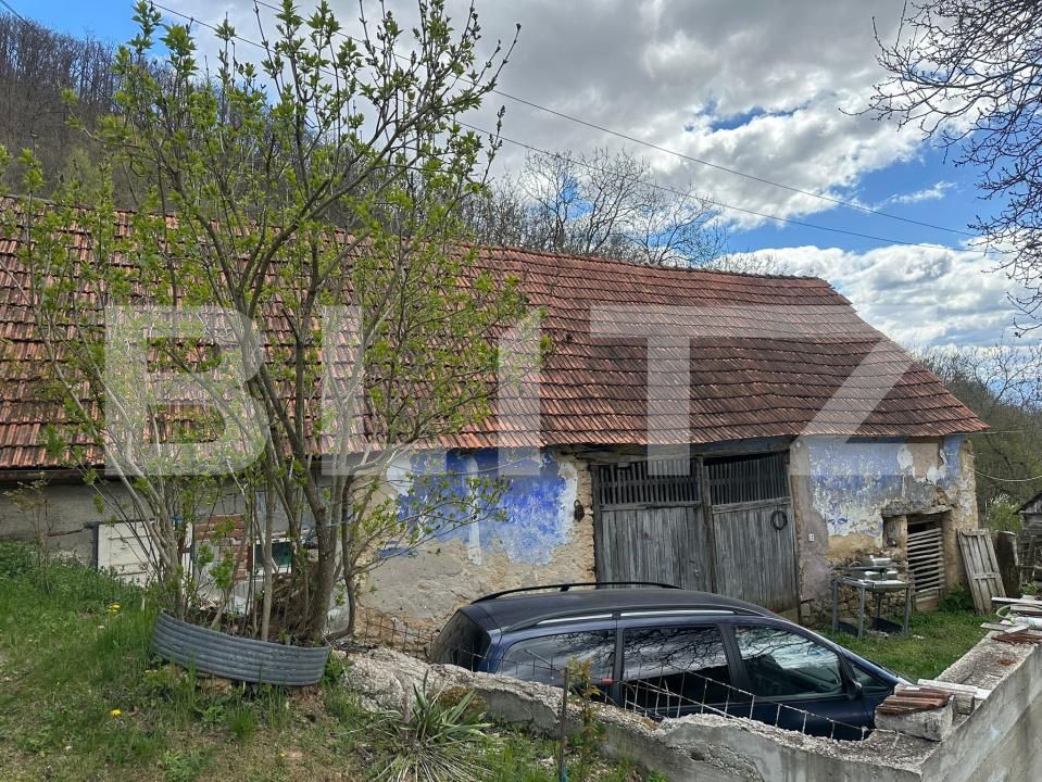 Casa de vânzare 4 camere Boiu - 192460CV | BLITZ Deva | Poza13