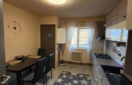 Apartament cu 2 camere de închiriat, 46 mp - Deva 
