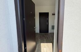 Inchiriere spatii birouri, 48 mp - Calea Zarandului