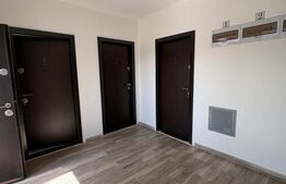 Apartamente spațiu birou, închiriere individuala, 48 mp, zona Garii