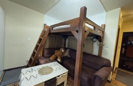 Garsonieră de vânzare – 29 mp, etaj 1, zona Dacia