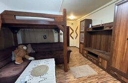 Garsonieră de vânzare – 29 mp, etaj 1, zona Dacia