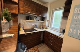 Garsonieră de vânzare – 29 mp, etaj 1, zona Dacia