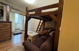 Garsonieră de vânzare – 29 mp, etaj 1, zona Dacia