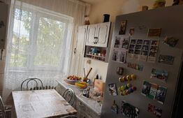 Apartament cu 2 camere, 47 mp - de vanzare in Gojdu