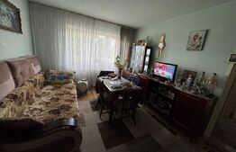Apartament cu 2 camere, 47 mp - de vanzare in Gojdu