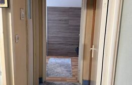 Apartament cu 2 camere, 47 mp - de vanzare in Gojdu