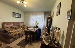 Apartament cu 2 camere, 47 mp - de vanzare in Gojdu
