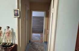 Apartament cu 2 camere, 47 mp - de vanzare in Gojdu