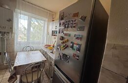 Apartament cu 2 camere, 47 mp - de vanzare in Gojdu