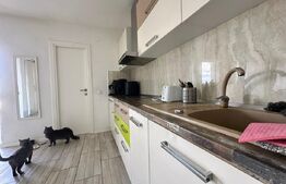 Casă individuală cu panoramă asupra Devei și Munților Retezat – teren generos