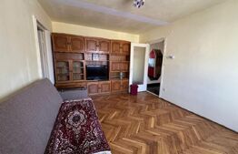 Apartament cochet de 2 camere, 57 mp - Deva, Gojdu